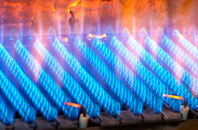 Salperton Park gas fired boilers